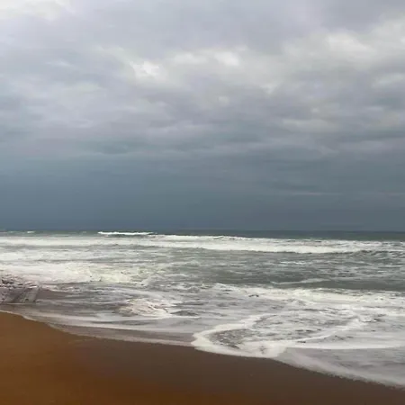 Apartment Near Sandy Beach, Cleaning Included *