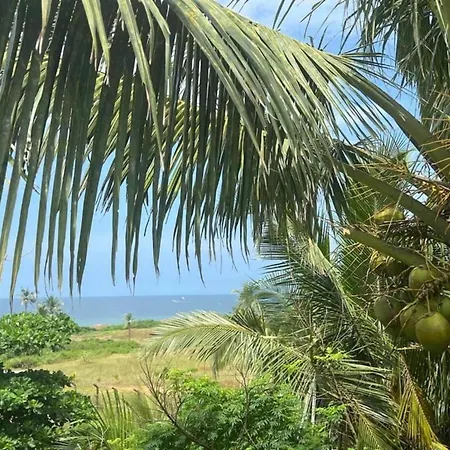 아파트 Near Sandy Beach, Cleaning Included 니우포르트